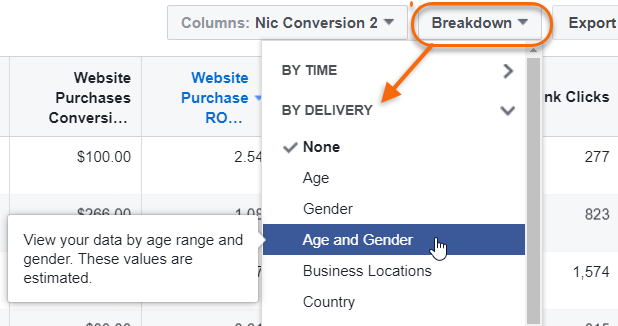 Breakdown Facebook ad report by age